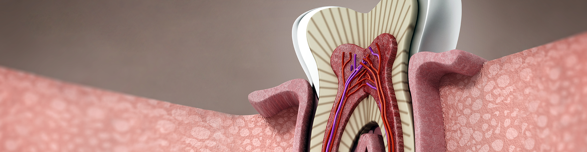 Let’s Talk About Root Canals—They’re Not As Scary As You Think